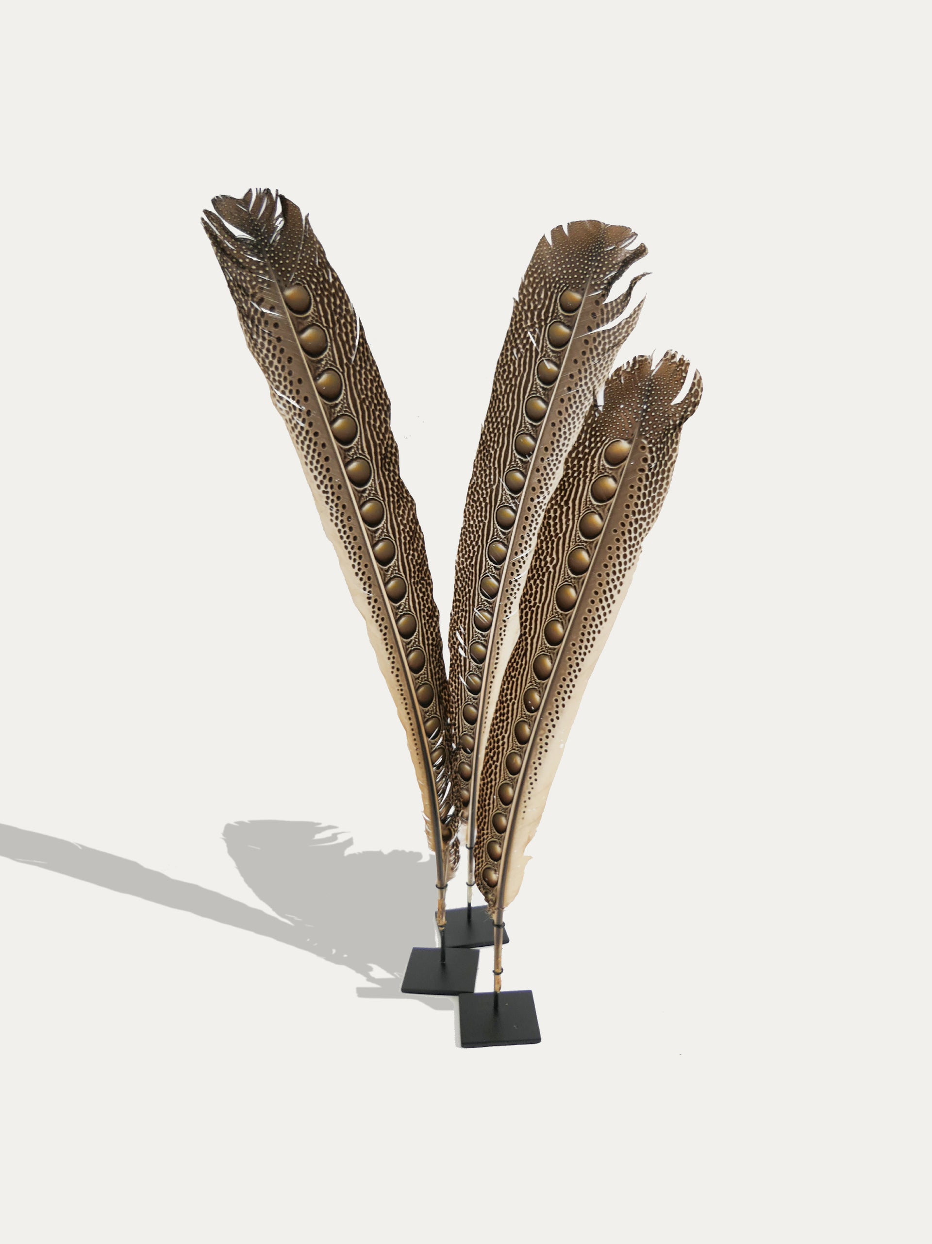 Set de 3 plumes de paon d'Indonésie - Décoration d'art tribal authentique, image size:1920x2562