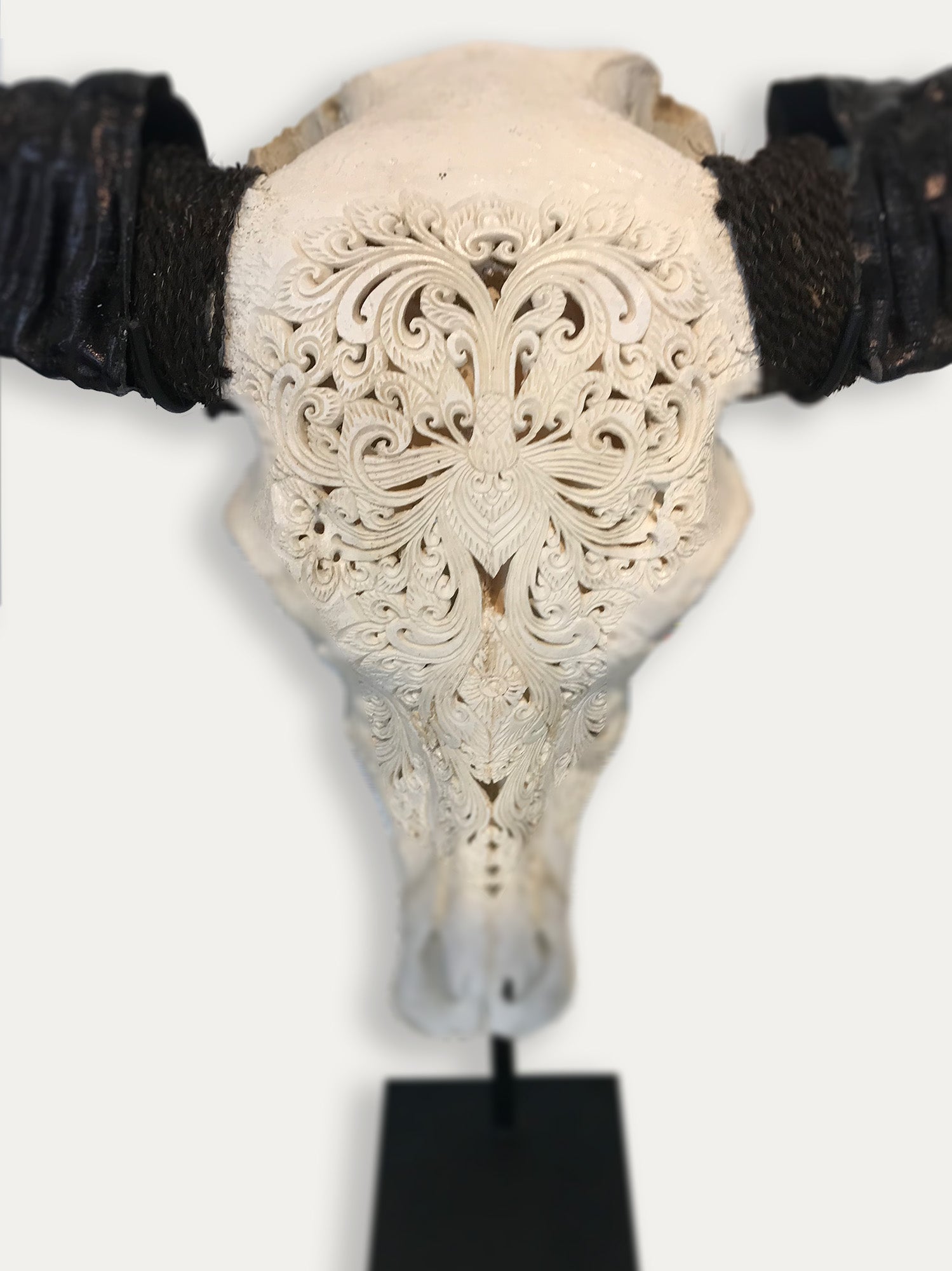Cráneo de búfalo tallado a mano de Bali